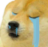 sad_dog Discord emoji