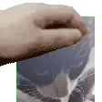 Manupetpet Manupetpet