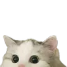catpeek