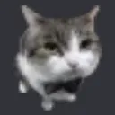 Miao