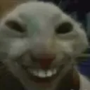 goofy_cat