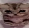 when