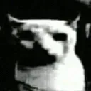 despairgato