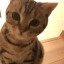 aword
