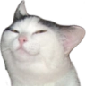 dakota Discord emoji