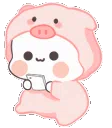 :Cami_fn: