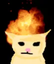 Catexplode