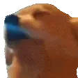 851579149369081867