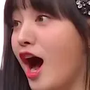 lizpog Discord Emoji