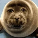 ani_seal_sad