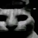 Horror
