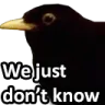 dunnobird