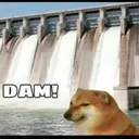 doge_dam Discord Emoji