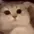 Cat_Smile