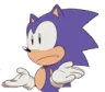 Sonic_shrug