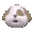 bark