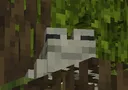 bob2
