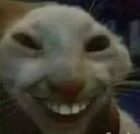 cat_smile