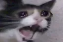cri
