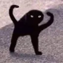CatAnger