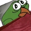 BirdgeWoke