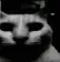 him