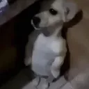 scared