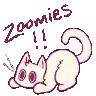 zoomies