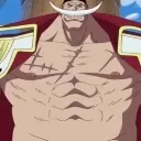 theonepiece