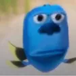 fernyhPez fernyhPez