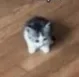 lost