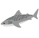 TigerShark