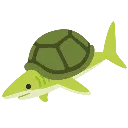 TurtleShark
