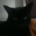 TE_cat