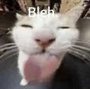 Bleh