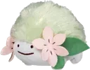 shaymin