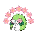 Shaymin_thanks