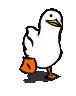 waddle