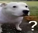 huh