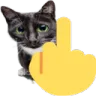 kittyfu kittyfu
