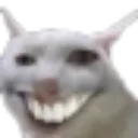 qat qat