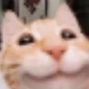 catuwu