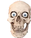 x_4skull