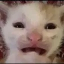 emoji_3