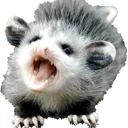 possumscream possumscream