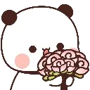 paod_TuPhoolle