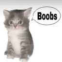_10boobs
