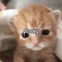_10ptooey