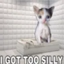 _10toosilly