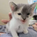 c_hehe